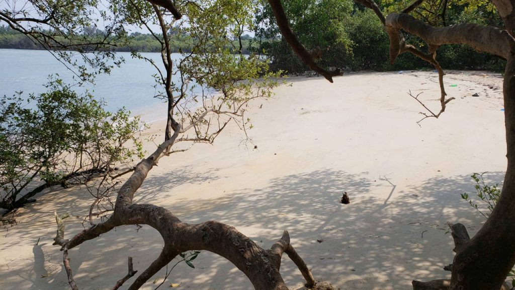 Best Mangalore Beaches: Sasihitlu beach